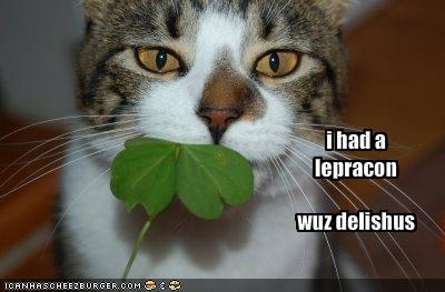 funny-pictures-your-cat-ate-a-leprechaun1