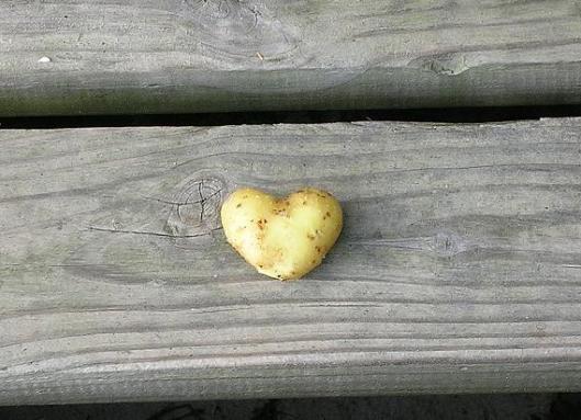 PotatoLove