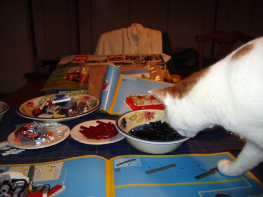 Oliver:  "Bowls?  Where there are bowls, there must be food."