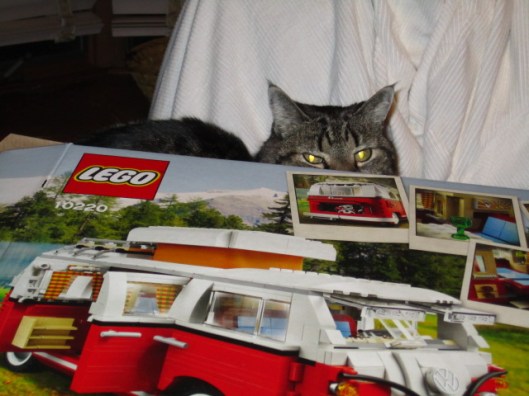 Macy:  "You're doing it wrong.  I look upon you with contempt."