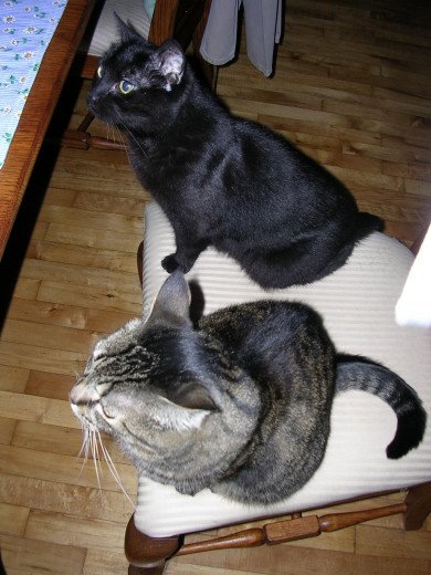 Dinnertime = unity, if at no other time